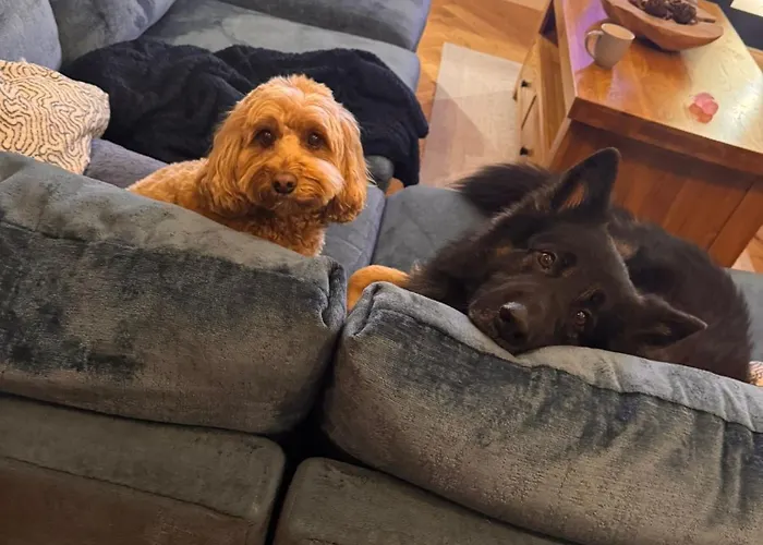 Casa de Férias View *