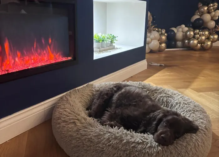 Casa de Férias View